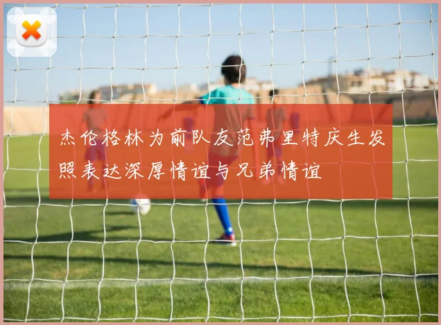 杰伦格林为前队友范弗里特庆生发照表达深厚情谊与兄弟情谊