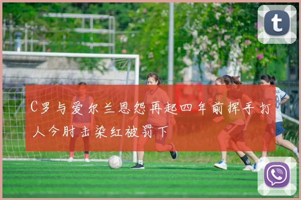 C罗与爱尔兰恩怨再起四年前挥手打人今肘击染红被罚下