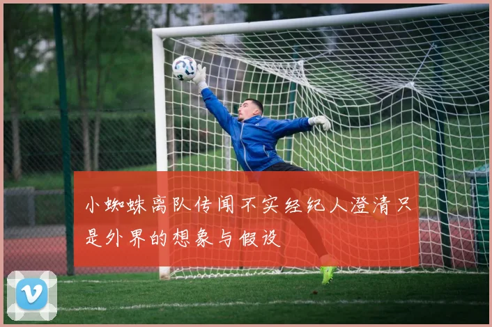 小蜘蛛离队传闻不实经纪人澄清只是外界的想象与假设
