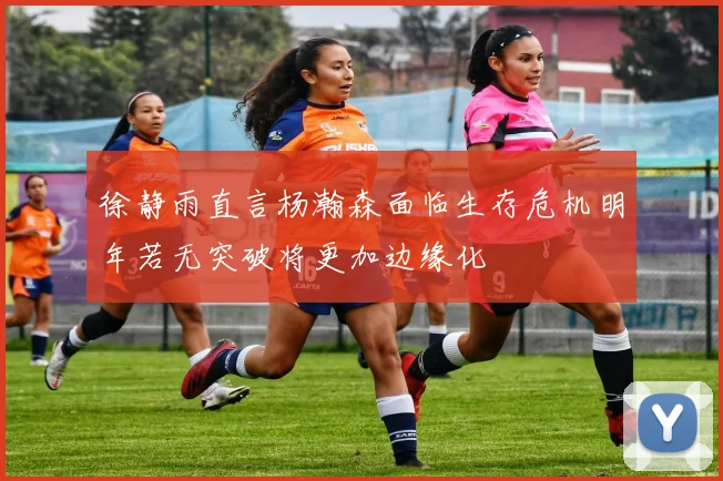 徐静雨直言杨瀚森面临生存危机明年若无突破将更加边缘化